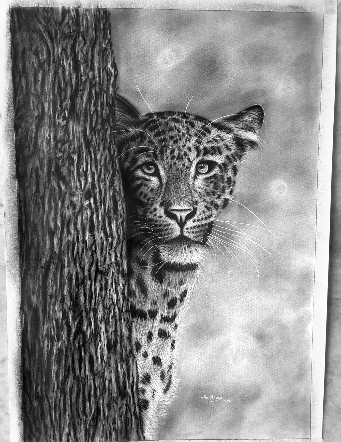 Detailed black and white drawing of a leopard peeking from behind a tree